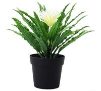 Contemporary Bonsai Ornament with For FERN Design Elements for Modern Interior Arrangements and Styling (white)