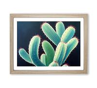 Contemporary Cactus BLK Framed Wall Art Print A2 Oak