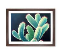 Contemporary Cactus H1022 BLK Framed Print for Living Room Bedroom Home Office Décor, Wall Art Picture Ready to Hang, Walnut A2 Frame (64 x 46 cm)