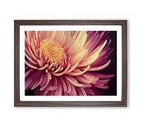 Contemporary Chrysanthemum Flower Framed Wall Art Print A2 Walnut