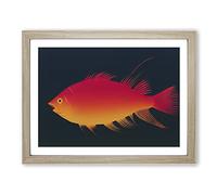 Contemporary Fish Framed Wall Art Print A2 Oak