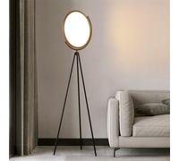 Contemporary Luxury Floor Lamp Fashion Art Living Room Bedroom Study Villa Hotel Model Houses LED Retro Creativity Decorative Standing Light (Style 60)