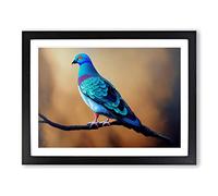 Contemporary Pigeon Bird Framed Wall Art Print A2 Black