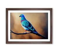 Contemporary Pigeon Bird Framed Wall Art Print A2 Walnut