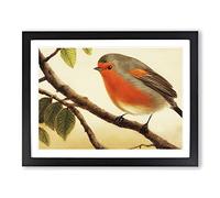 Contemporary Robin Bird Framed Wall Art Print A2 Black