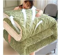 Contemporary Style Luxurious Ultra-Soft Taffeta Fleece Thickened Warm Blanket Quilt Duvet Seasons, Machine Washable Thick Cozy Warm Reversible Blanket 200x230cm/4kg (GREEN)