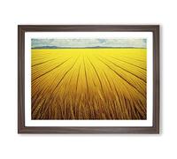 Contemporary Wheat Field Framed Wall Art Print A2 Walnut