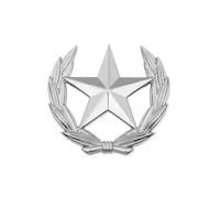 Contemporary Wheat Stalk And Geometric Star Metal Brooch Sturdy Fashion Emblems Wheat Star Pin For Daily Wear Symbolic Harvest Hope