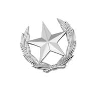 Contemporary Wheat Stalk And Geometric Star Metal Brooch Sturdy Fashion Emblems Wheat Star Pin For Daily Wear Symbolic Harvest Hope