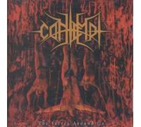 Contempt - Secret Around Us