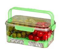Conteneur De Rangement Extérieur Pour Aliments,Boîte De Rangement Réutilisable Pour Pique-nique, Camping, Fruits Et Sandwich | Conteneurs De Stockage Alimentaire