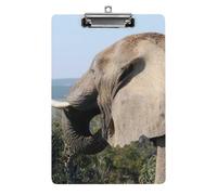 Content Tan Elephant Large Capacity A4 Clipboard, Wall Mounted Organizer for Office Papers Writing Planner