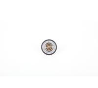 Continental 28.0200-4074.2 Thermostat