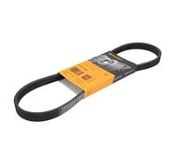 Continental 5PK800 Ribs in Contitech V-Belt