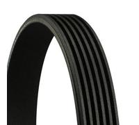 CONTINENTAL 6PK1042ELAST V-Ribbed Belt Fits Ford Fiesta Focus Fusion Mazda 2