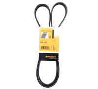 6PK1555 CONTITECH DRIVE BELT OE QUALITY, Black/White