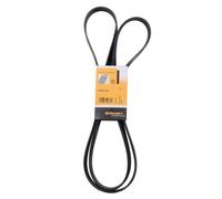 Contitech 6PK2115V-Ribbed Belt, Schwarz