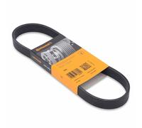 Continental ContiTech Serpentine Auxillary Drive V-Ribbed Multi V-Belt 8 PK 1480
