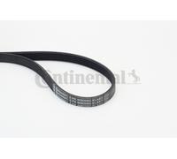 CONTITECH 5PK868ELAST V-ribbed Drive Belt