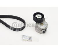 CONTINENTAL CTAM 6PK1270K1 V-Ribbed Belt Set for FORD,FORD USA