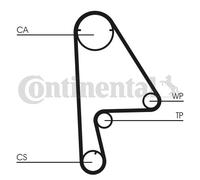 CONTITECH CT862WP1 Water pump and timing belt kit