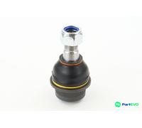 CONTINENTAL CTAM FRONT BALL JOINT SUG1038
