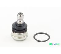 CONTINENTAL CTAM FRONT BALL JOINT SUG1068 FOR KIA
