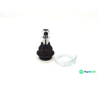 CONTINENTAL CTAM FRONT LEFT BALL JOINT SUG1177