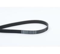 Continental CTAM Multi V-Ribbed Drive Belt