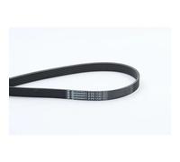 Continental CTAM Multi V-Ribbed Drive Belt fits Alfa Romeo 166 1998-2007 2.4