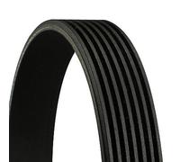 Continental CTAM Multi V-Ribbed Drive Belt fits Toyota Hilux Vigo VII Pickup