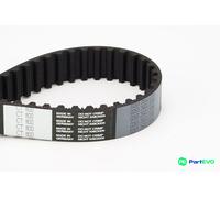 CONTINENTAL CTAM TIMING BELT CT1100
