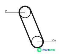 CONTINENTAL CTAM TIMING BELT CT561 FOR PORSCHE