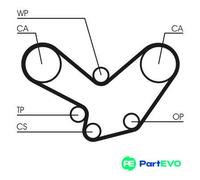 CONTINENTAL CTAM TIMING BELT CT584 FOR PORSCHE