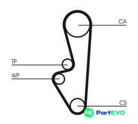 CONTINENTAL CTAM TIMING BELT CT798 FOR PORSCHE