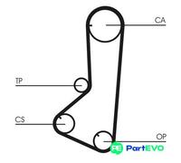 CONTINENTAL CTAM TIMING BELT CT801 FOR MITSUBISHI HYUNDAI