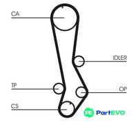 CONTINENTAL CTAM TIMING BELT CT876 FOR TOYOTA LEXUS