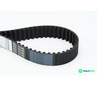 CONTINENTAL CTAM TIMING BELT CT891 FOR CITROËN PEUGEOT