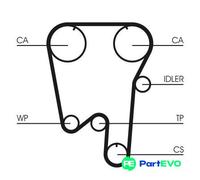 CONTINENTAL CTAM TIMING BELT CT902 FOR VOLVO