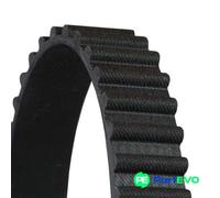 CONTITECH HB139 Timing Belt
