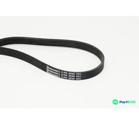 CONTINENTAL CTAM V-RIBBED BELT 5PK2030 FOR BMW MG ROVER LAND ROVER