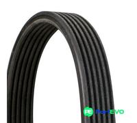 CONTINENTAL CTAM V-RIBBED BELT 6DPK1697 FOR BMW