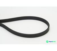 CONTINENTAL CTAM V-RIBBED BELT 6DPK1817 FOR BMW