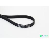 CONTINENTAL CTAM V-RIBBED BELT 6PK1120 FOR AUDI FORD SEAT SKODA TOYOTA VW