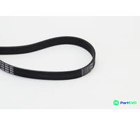 CONTINENTAL CTAM V-RIBBED BELT 6PK1660 FOR AUDI BMW CITROËN PEUGEOT RENAULT VW