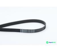 CONTINENTAL CTAM V-RIBBED BELT 6PK1740 FOR CITROËN PEUGEOT SUZUKI