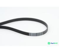 CONTINENTAL CTAM V-RIBBED BELT 6PK2490 FOR AUDI CHRYSLER VW