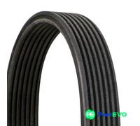 CONTINENTAL CTAM V-RIBBED BELT 7DPK1697 FOR BMW