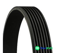 CONTINENTAL CTAM V-RIBBED BELT 7PK1785 FOR HONDA RENAULT