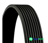 CONTINENTAL CTAM V-RIBBED BELT 8PK1920